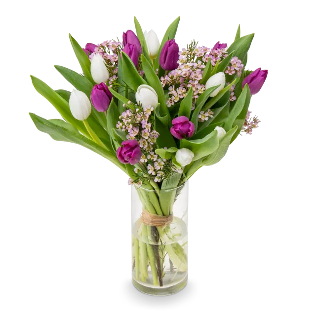 Kytice tulipánů